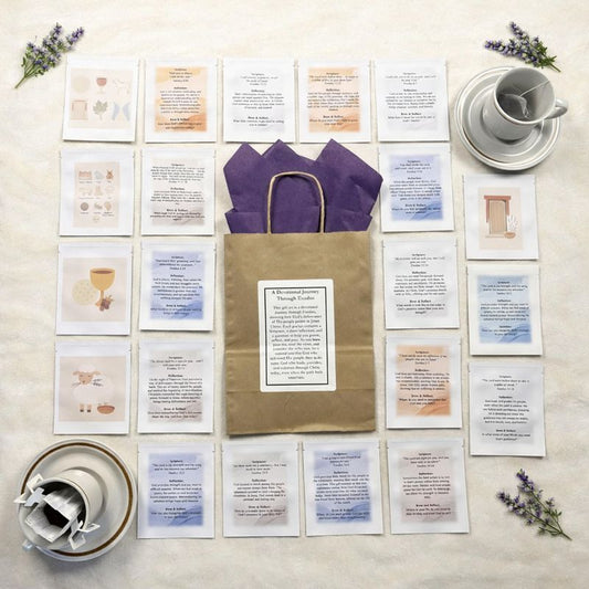 A Devotional Journey through Exodus (25 Packets)