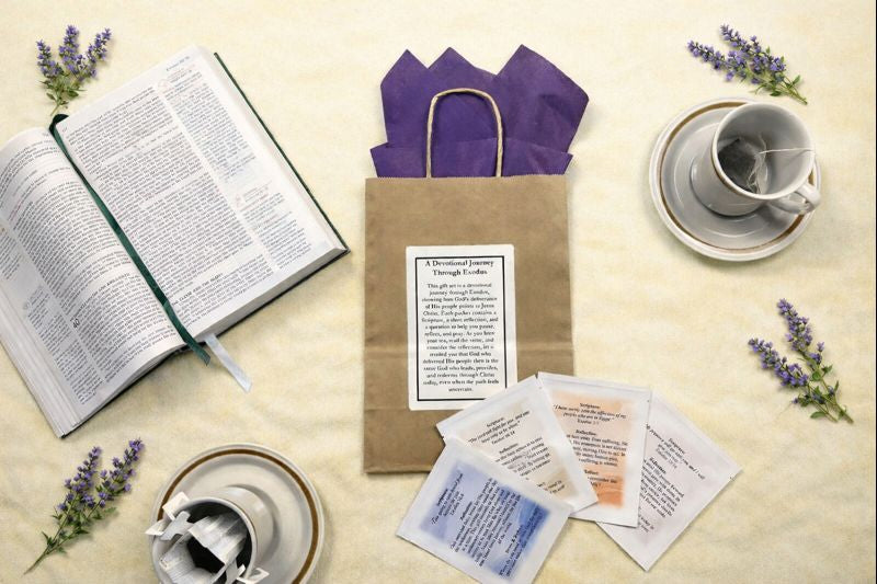 A Devotional Journey through Exodus (25 Packets) Ships Feb. 28th
